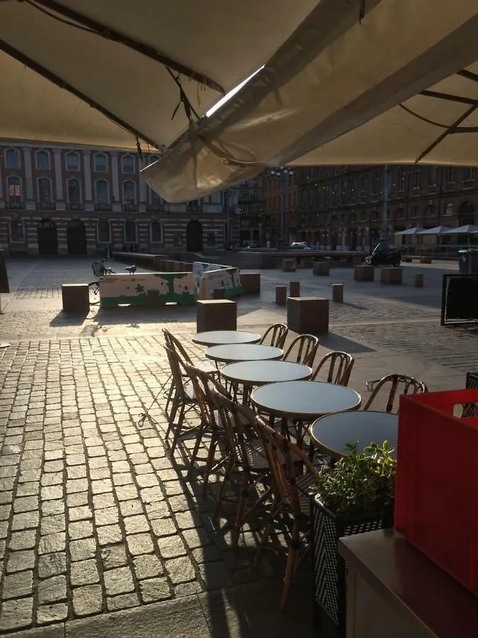 Appartement Toulouse Plein Centre-Jusqu'A 4 Personnes-Parking Et Petit Dejeuner Inclus