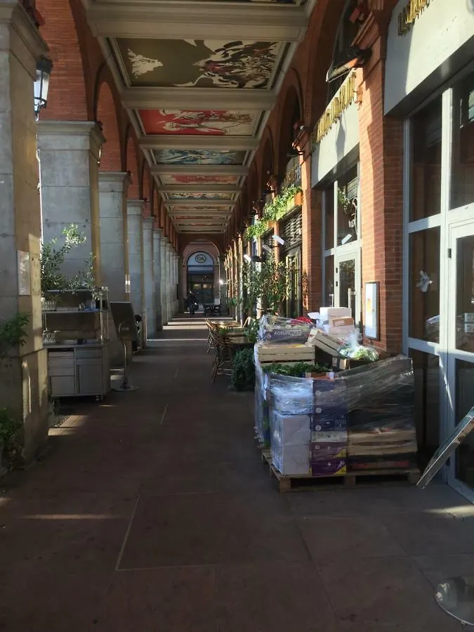 Appartement Toulouse Plein Centre-Jusqu'A 4 Personnes-Parking Et Petit Dejeuner Inclus 0*,