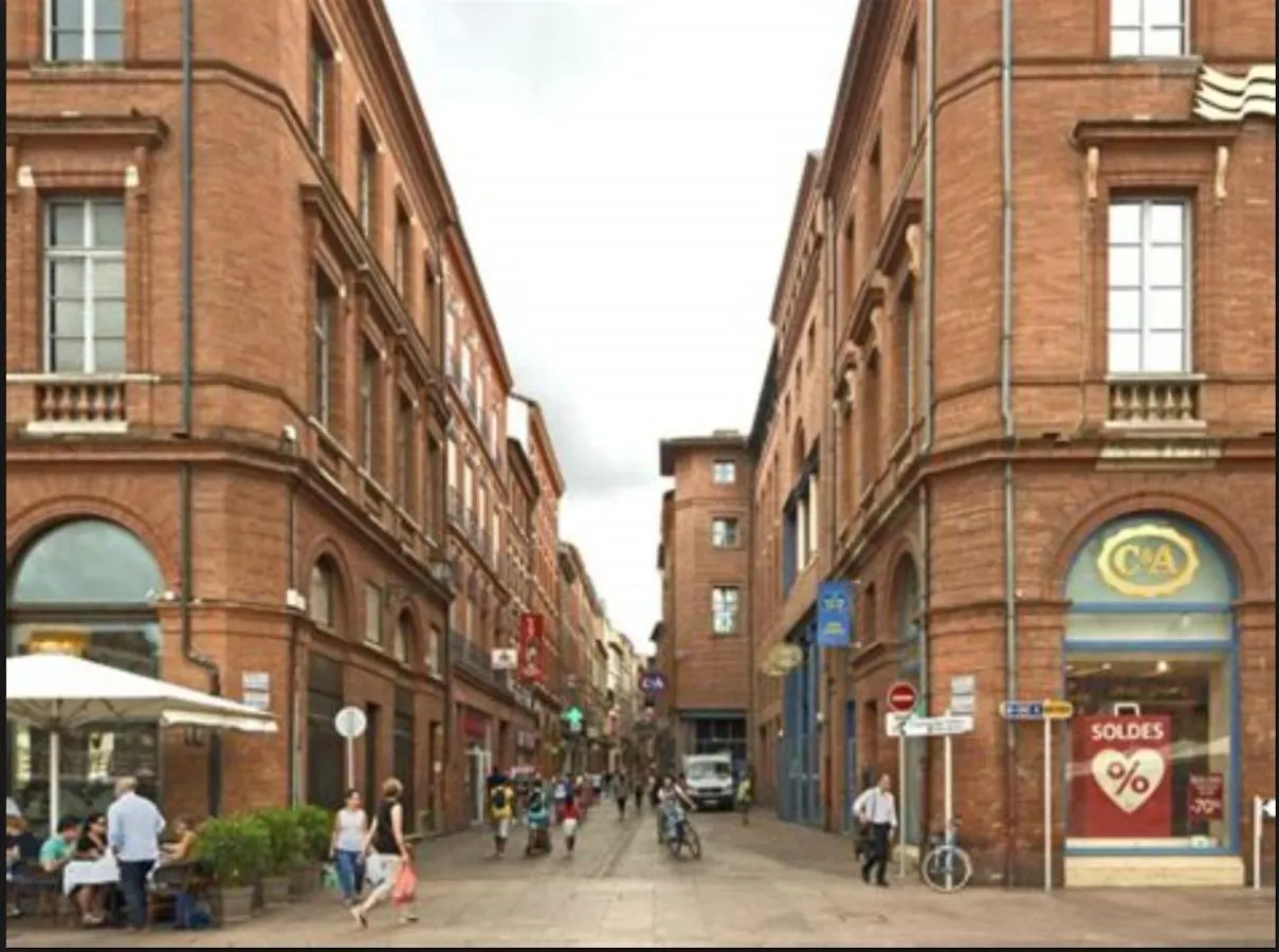Apartment Appartement Toulouse Plein Centre-Jusqu'A 4 Personnes-Parking Et Petit Dejeuner Inclus